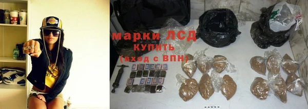индика Алексеевка