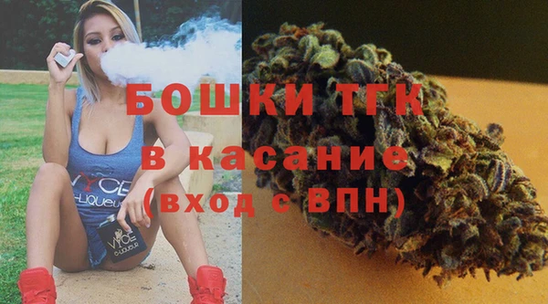индика Алексеевка