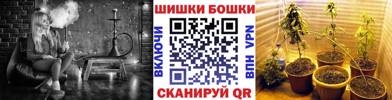 где можно купить наркотик Хвалынск Бошки Шишки гибрид